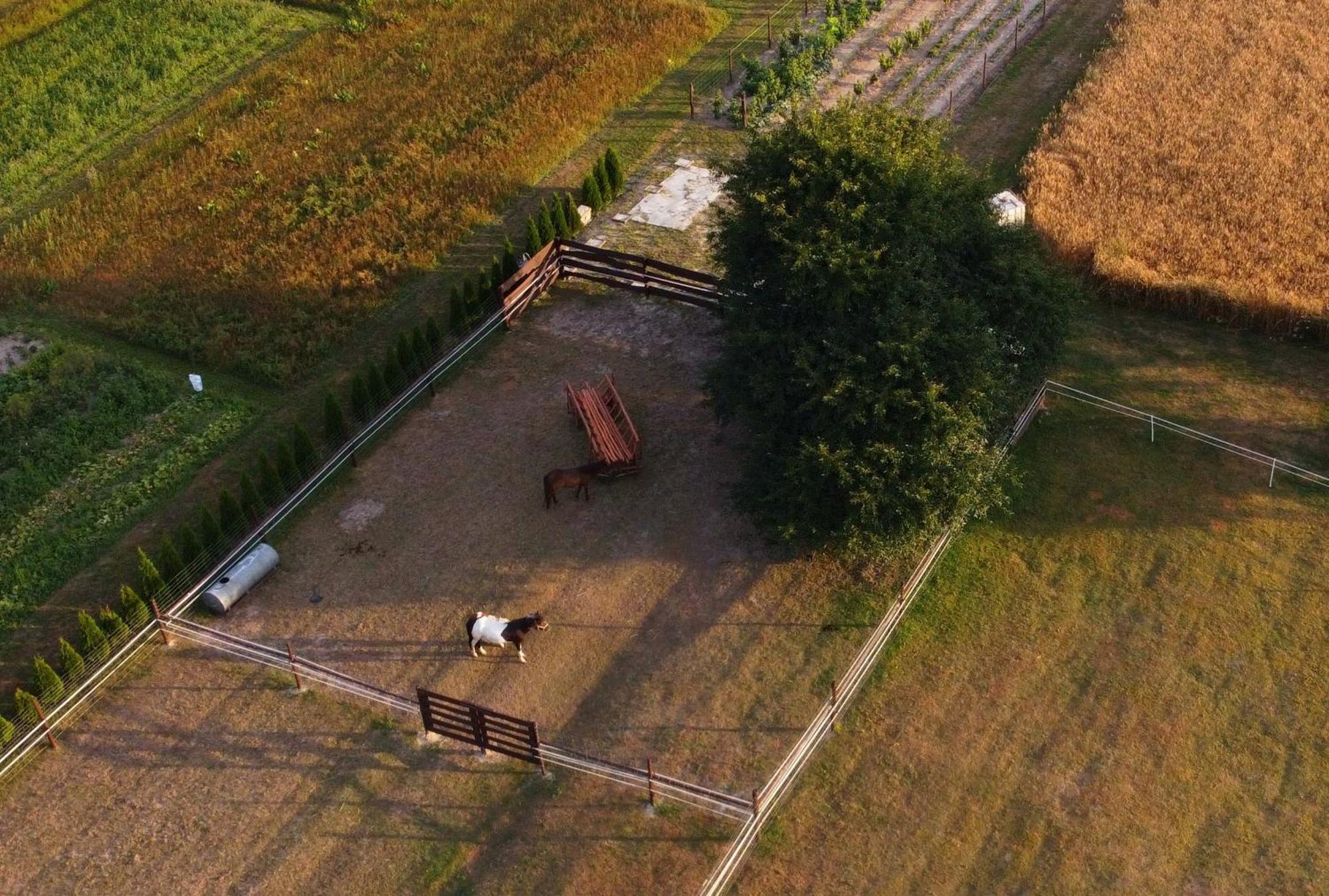 Agroturystyka Kraina Jezior Ludwin Exterior foto